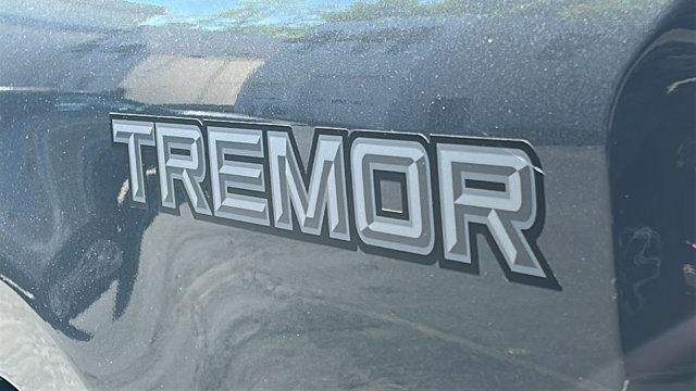 Certified 2025 Ford F250 Platinum w/ Tremor Off-Road Package AWD/4WD image 5