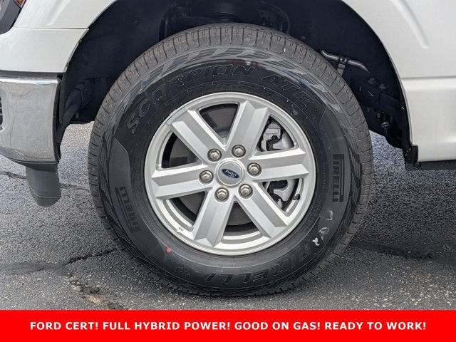 Certified 2025 Ford F150 XL w/ Equipment Group 104A Hybrid AWD/4WD image 9