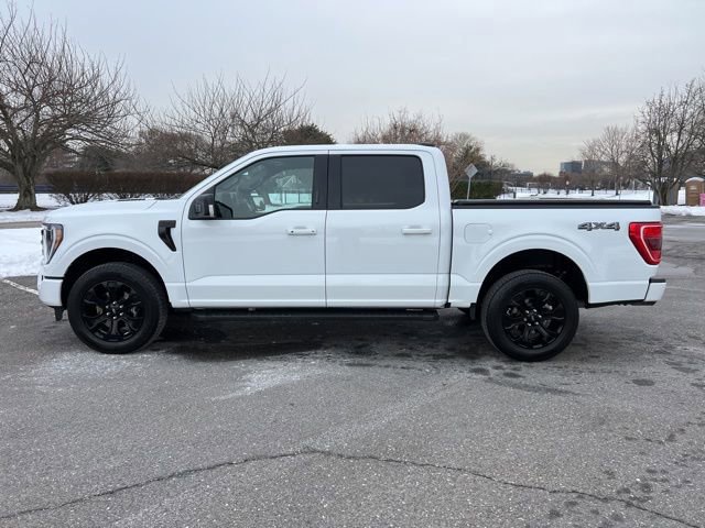 Certified 2023 Ford F150 XLT w/ Equipment Group 302A High image 3