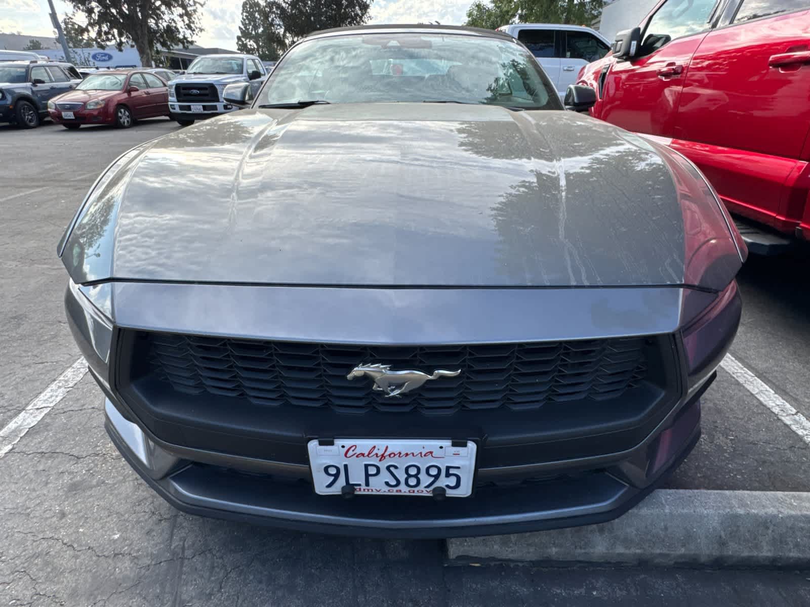 Certified 2024 Ford Mustang Premium RWD image 5