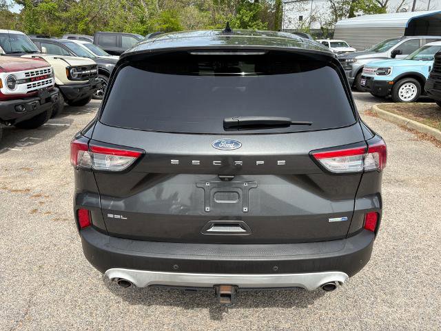 Certified 2020 Ford Escape SEL image 4