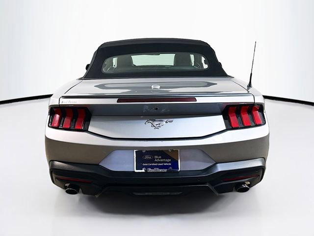 Certified 2024 Ford Mustang Premium image 5