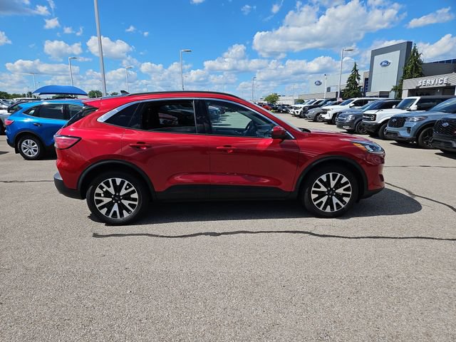 Certified 2020 Ford Escape SEL AWD/4WD image 6