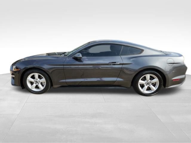 Certified 2019 Ford Mustang Coupe image 2