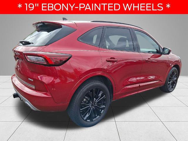 Certified 2023 Ford Escape ST-Line Elite image 4
