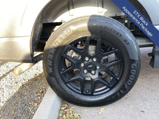 Certified 2025 Ford F150 STX w/ STX Black Appearance Package RWD image 9