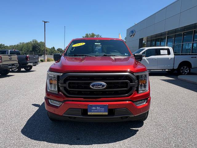Certified 2023 Ford F150 XLT w/ Equipment Group 302A High AWD/4WD image 8