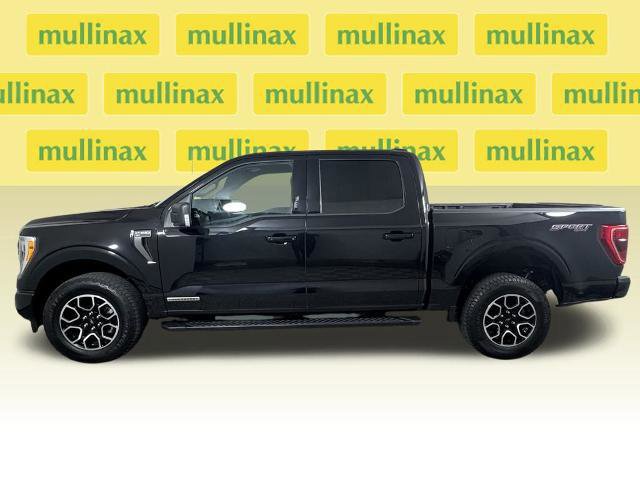 Certified 2023 Ford F150 XLT w/ Equipment Group 302A High image 2