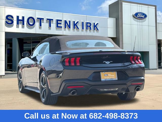 Certified 2024 Ford Mustang Premium image 6