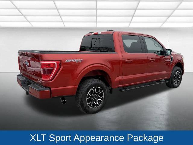 Certified 2023 Ford F150 XLT w/ Equipment Group 302A High AWD/4WD image 13