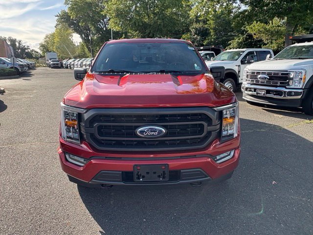 Certified 2023 Ford F150 XLT w/ Equipment Group 302A High AWD/4WD image 9
