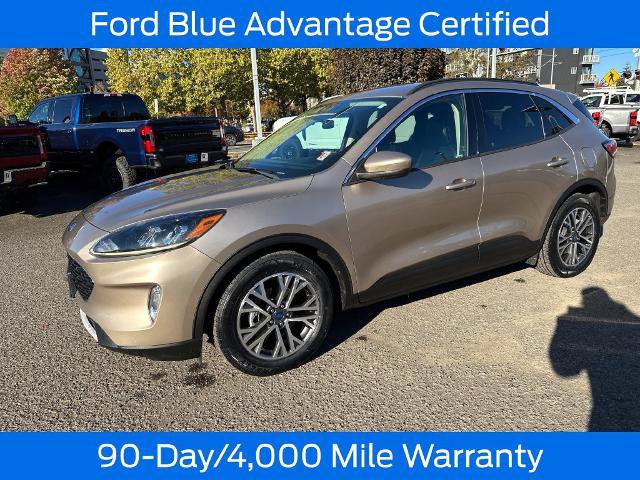 Certified 2020 Ford Escape SEL FWD image 3