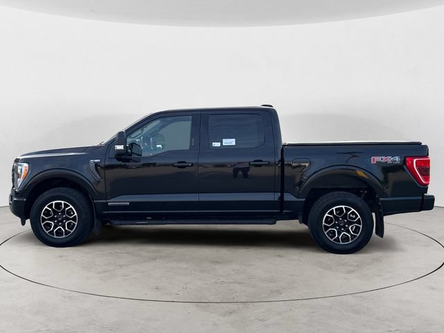 Certified 2023 Ford F150 XLT w/ Equipment Group 302A High AWD/4WD image 8