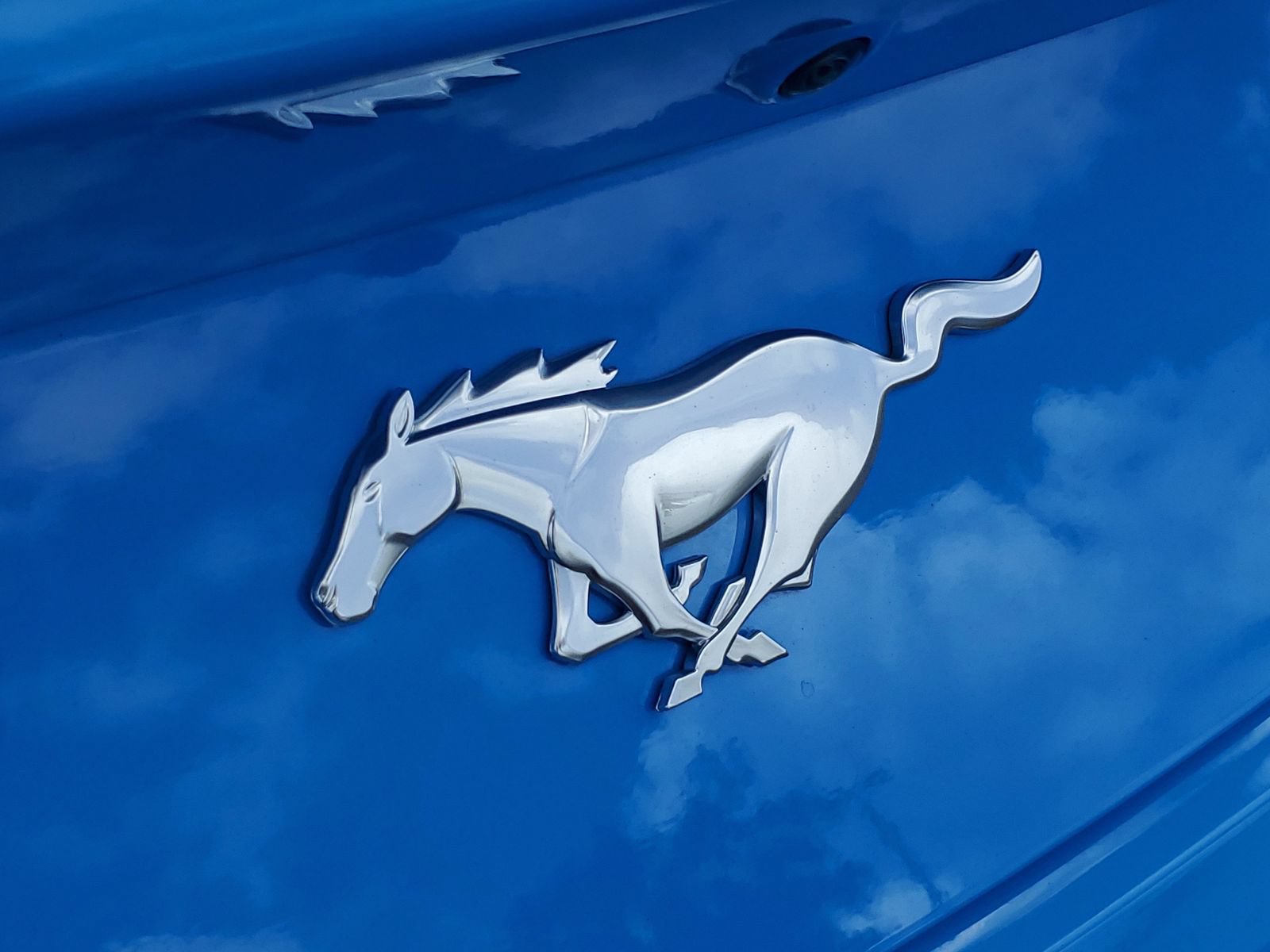 Certified 2025 Ford Mustang Coupe RWD image 6