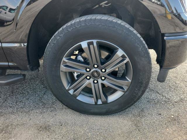 Certified 2023 Ford F150 XLT w/ Equipment Group 302A High AWD/4WD image 6