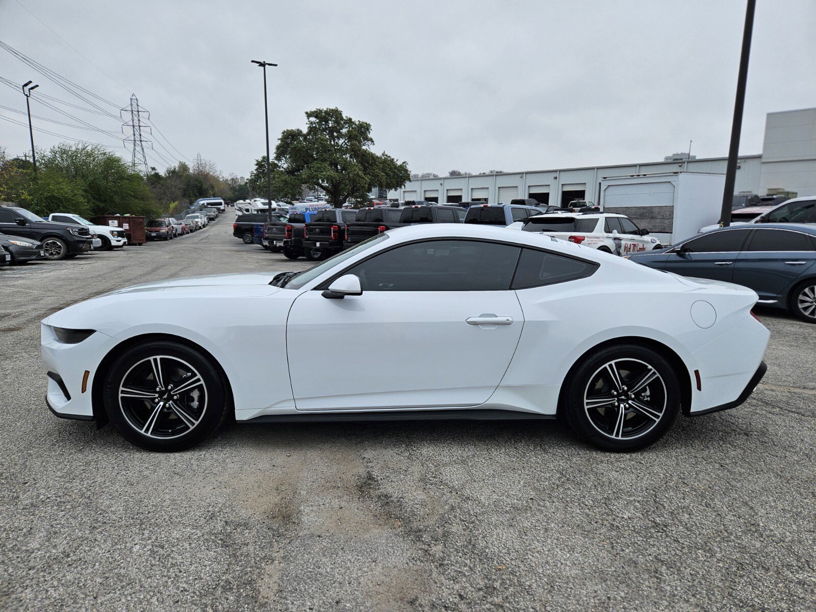 Certified 2025 Ford Mustang EcoBoost image 6