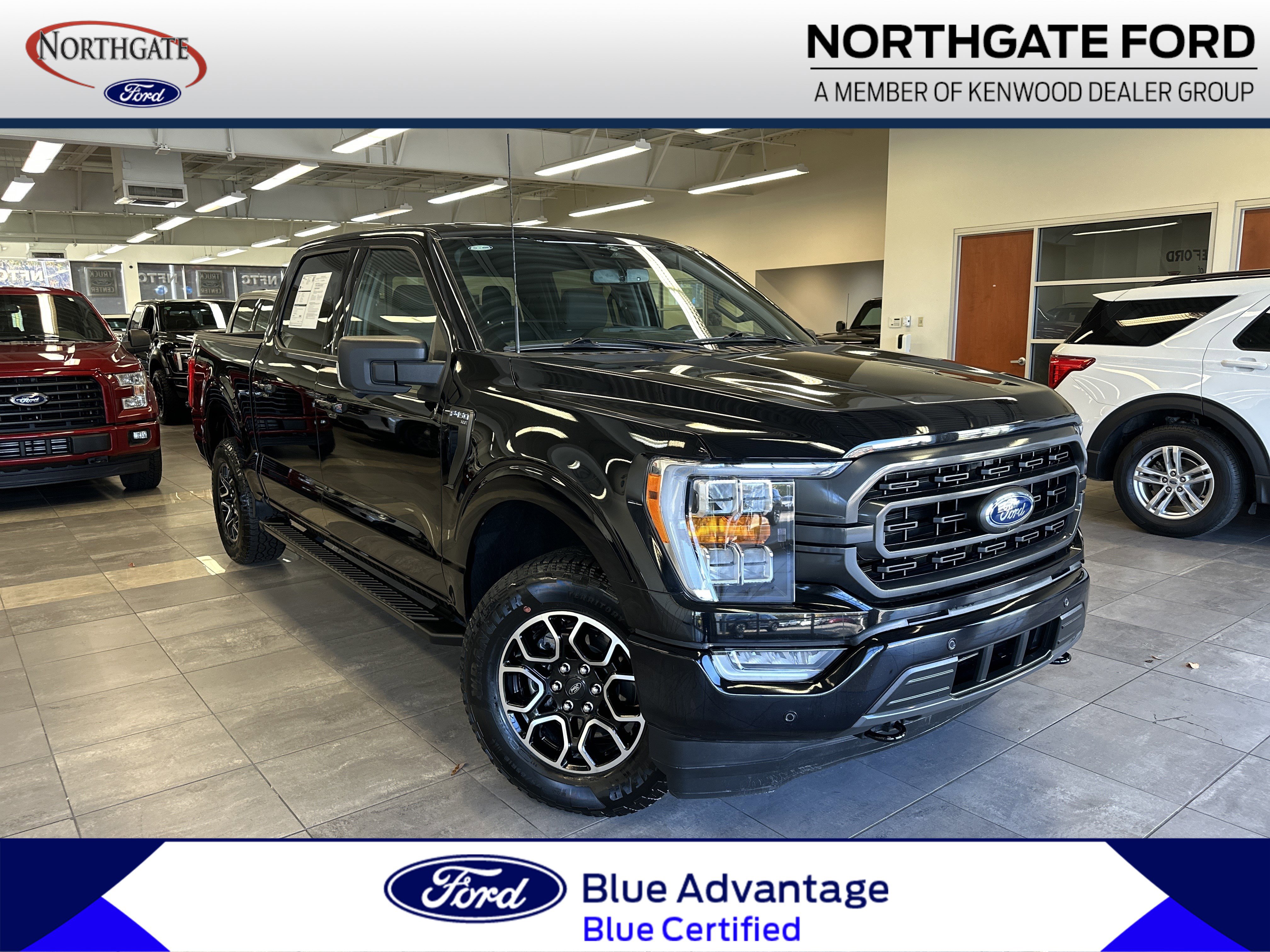 Certified 2023 Ford F150 XLT w/ Equipment Group 302A High