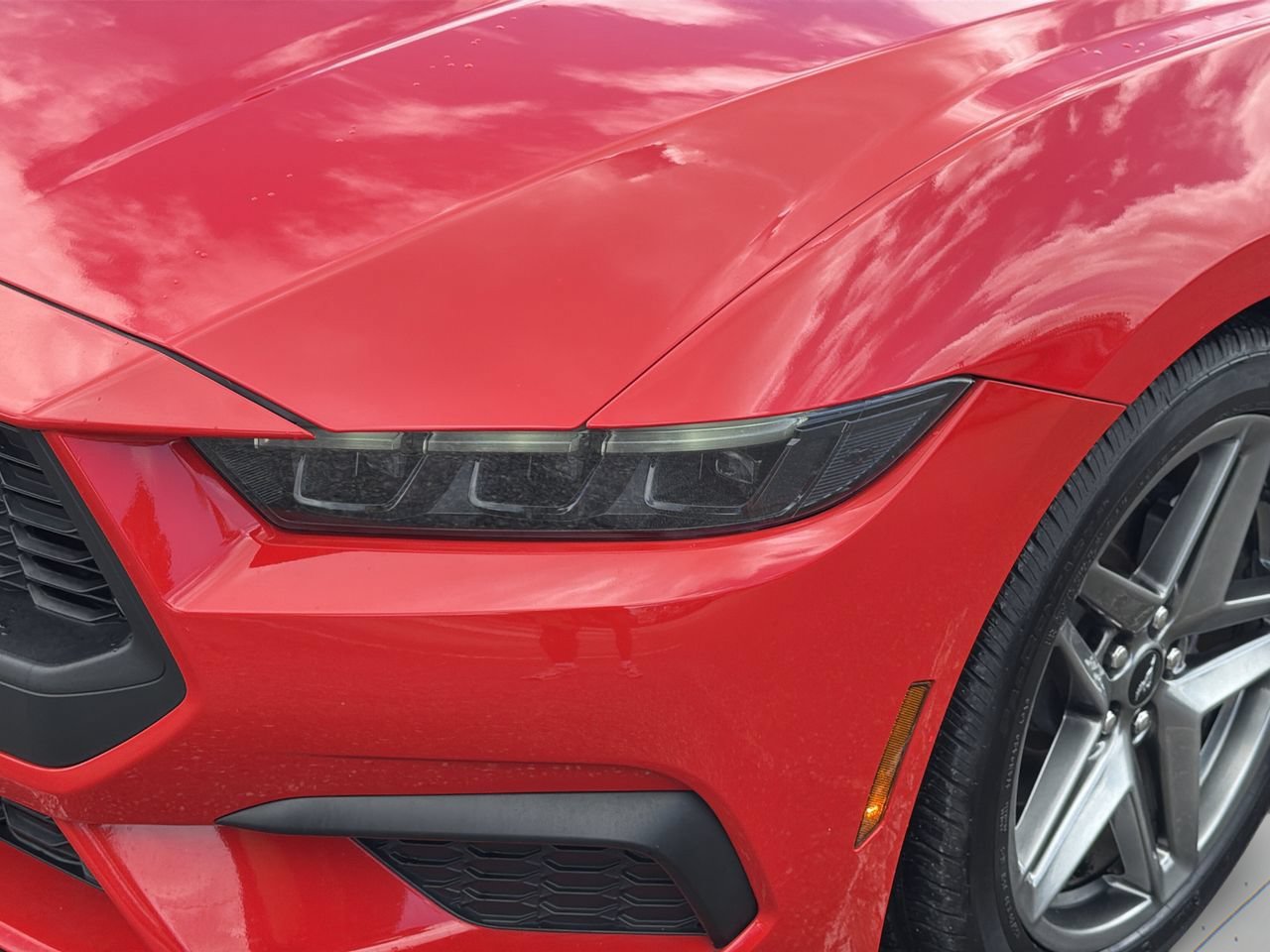 Certified 2025 Ford Mustang Coupe RWD image 6