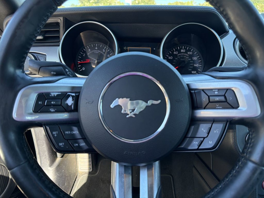 Certified 2019 Ford Mustang GT w/ Equipment Group 301A RWD image 13
