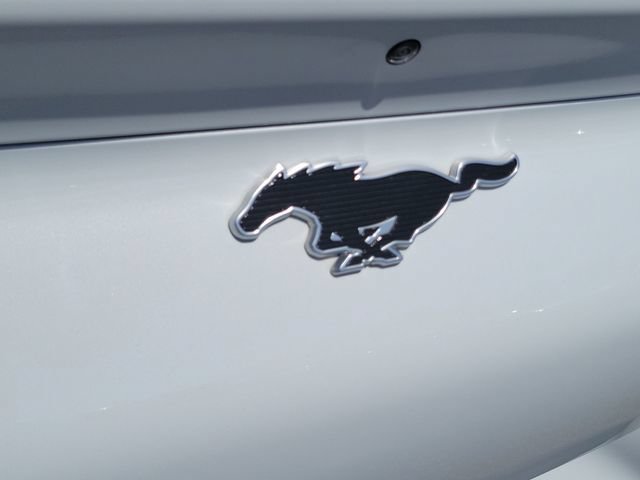 Certified 2021 Ford Mustang Mach-E Premium AWD/4WD image 25