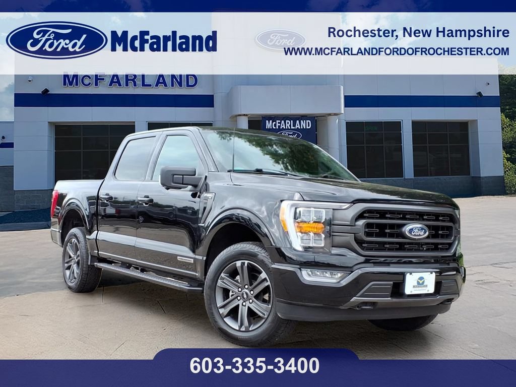 Certified 2023 Ford F150 XLT w/ Equipment Group 302A High