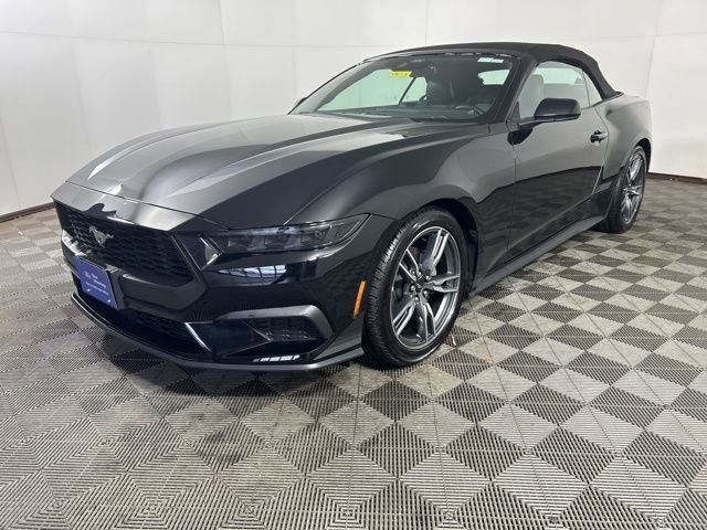 Certified 2025 Ford Mustang Premium w/ Wheel & Stripe Package RWD image 3