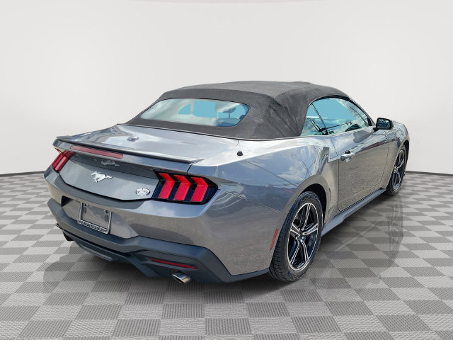 Certified 2024 Ford Mustang Premium RWD image 5