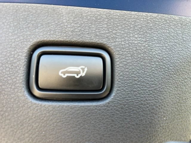 Used 2023 Kia Sportage X-Line w/ X-Line Premium Package AWD/4WD image 9