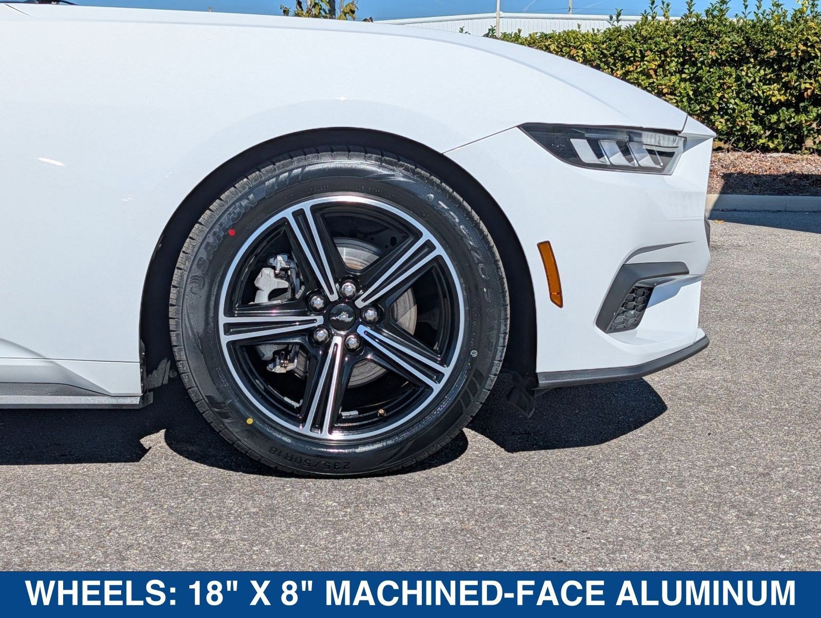 Certified 2024 Ford Mustang Premium image 11