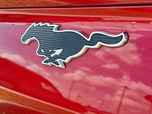 Certified 2023 Ford Mustang Mach-E California Route 1 image 10