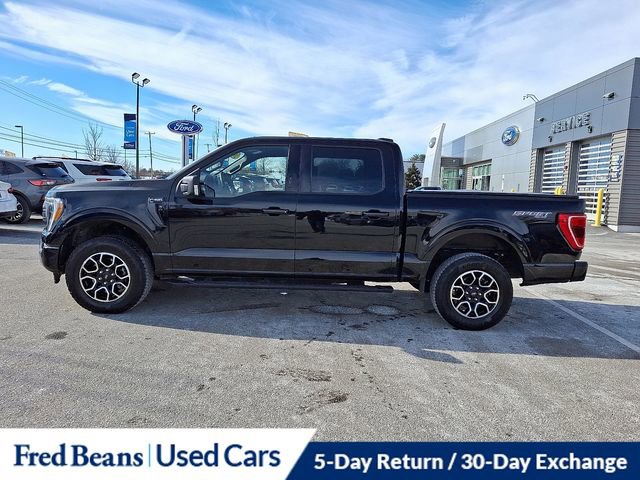 Certified 2023 Ford F150 XLT w/ Equipment Group 302A High image 6