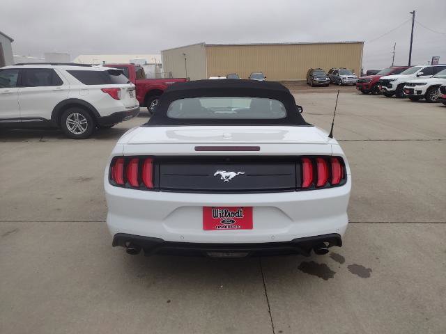 Certified 2020 Ford Mustang Premium image 6
