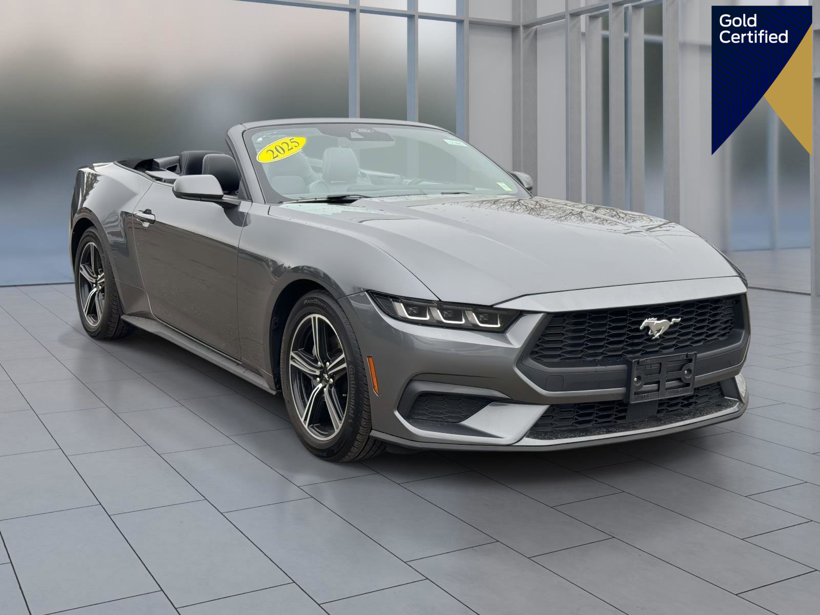 Certified 2025 Ford Mustang Premium image 1