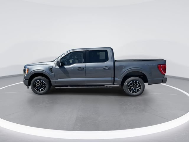 Certified 2022 Ford F150 XLT w/ Equipment Group 302A High RWD image 5