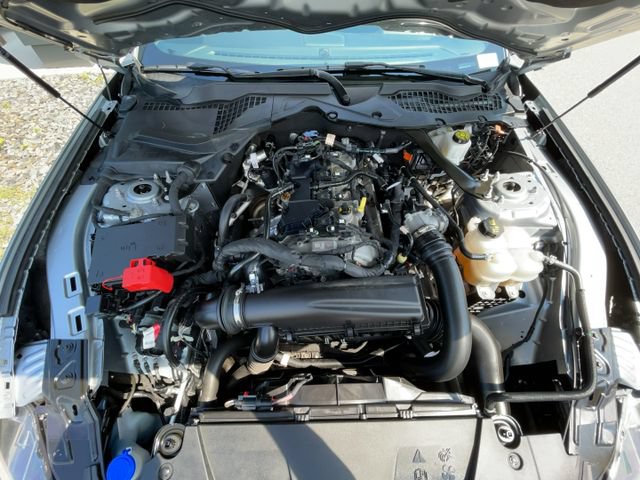 Certified 2024 Ford Mustang Premium RWD image 10