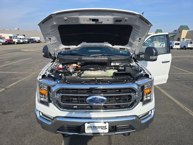 Certified 2022 Ford F150 XLT w/ Equipment Group 302A High image 10