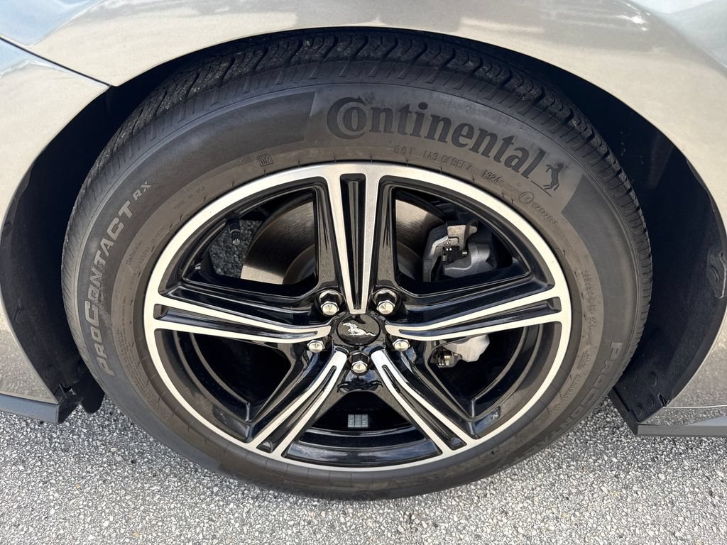 Certified 2024 Ford Mustang Premium RWD image 13