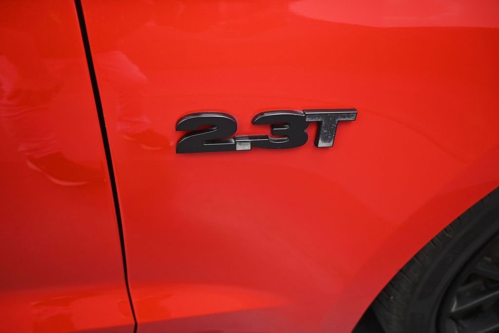 Certified 2019 Ford Mustang Premium w/ Ecoboost Performance Package RWD image 2