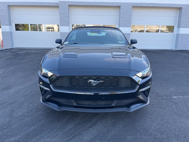 Certified 2023 Ford Mustang Premium image 13