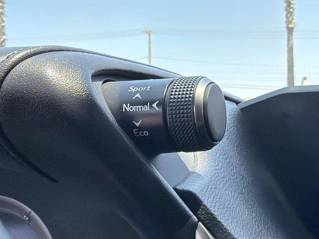 Used 2019 Lexus ES 350 F Sport w/ Accessory Package 2 FWD image 29
