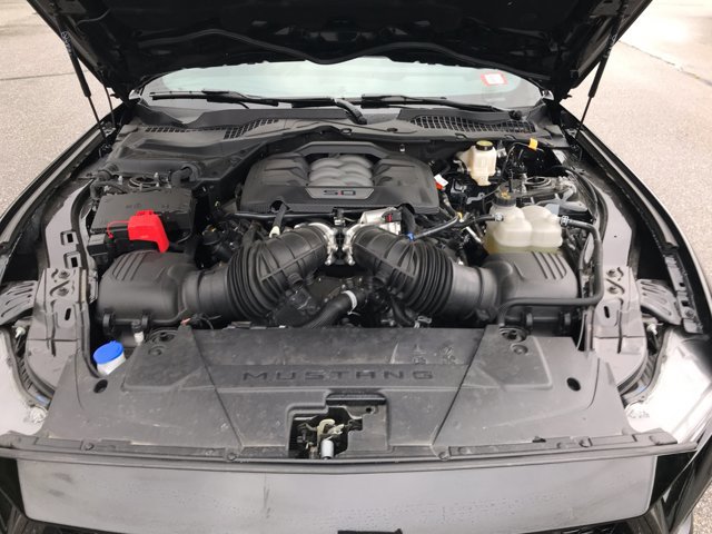 Certified 2024 Ford Mustang GT Premium image 35