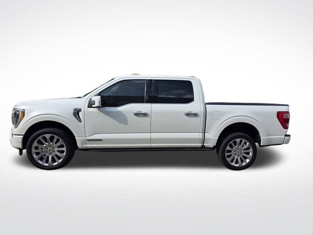 Certified 2023 Ford F150 Limited AWD/4WD image 8