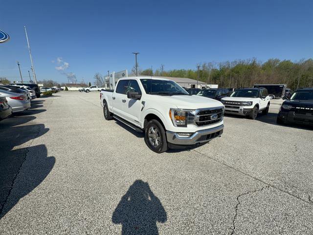Certified 2023 Ford F150 XLT w/ Equipment Group 302A High AWD/4WD image 8