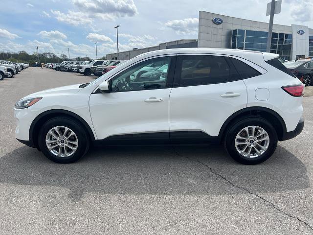 Certified 2021 Ford Escape SE w/ Convenience Package image 6