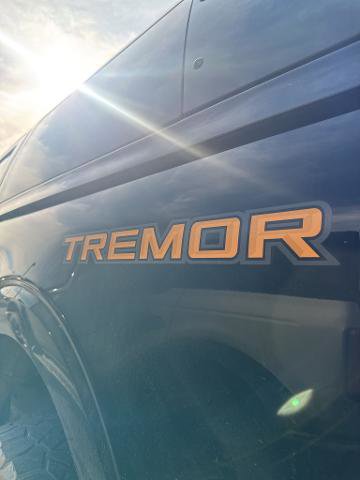 Certified 2022 Ford F150 Tremor w/ Equipment Group 402A High image 9