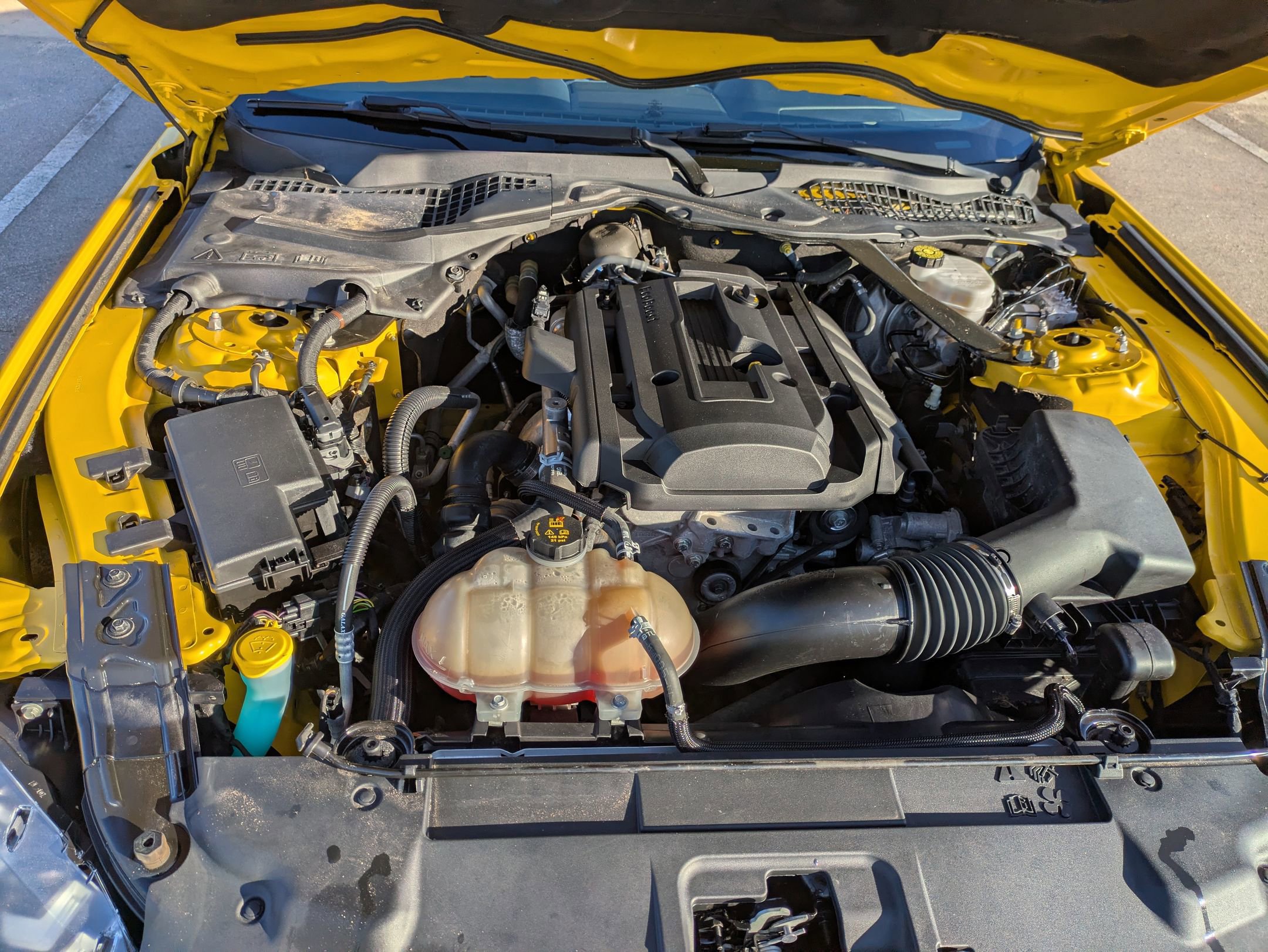 Certified 2018 Ford Mustang Premium w/ Equipment Group 201A image 37