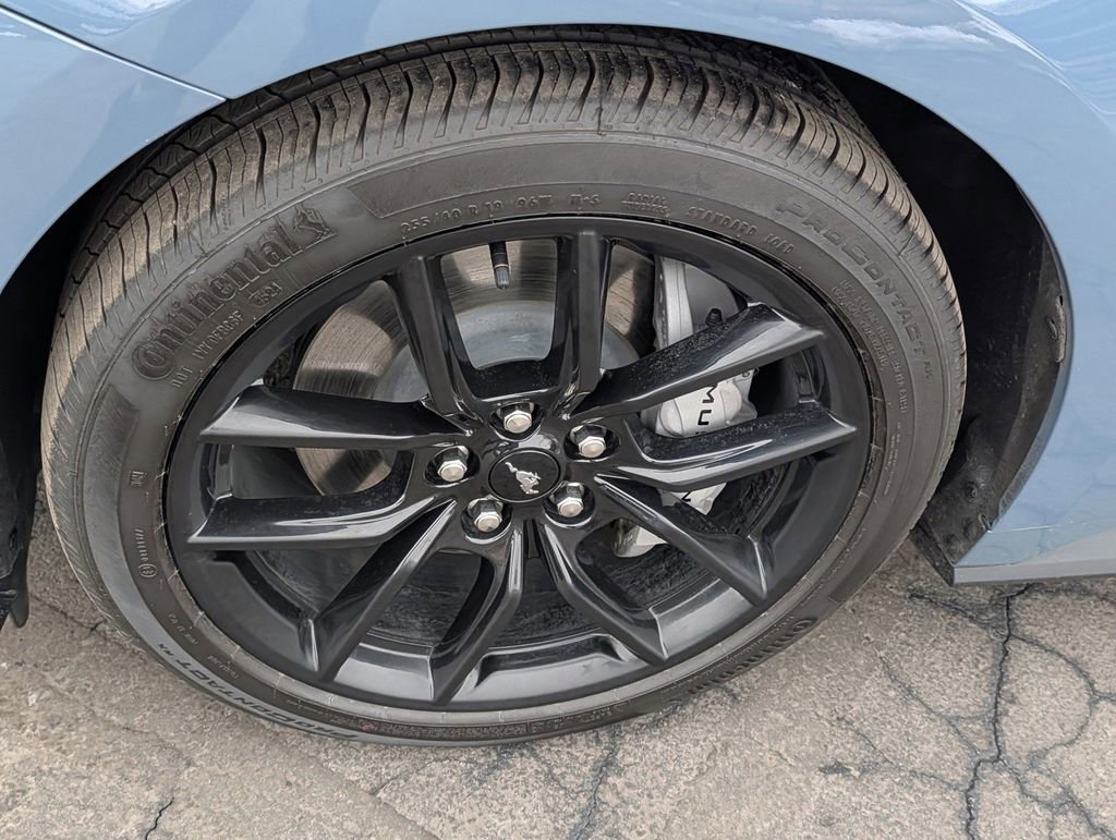 Certified 2025 Ford Mustang GT Premium w/ Mustang Nite Pony Package image 10