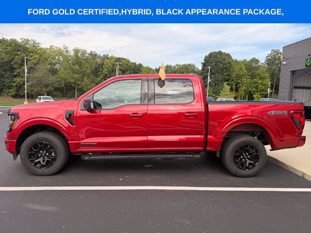 Certified 2024 Ford F150 XLT w/ Equipment Group 302A MID AWD/4WD image 12
