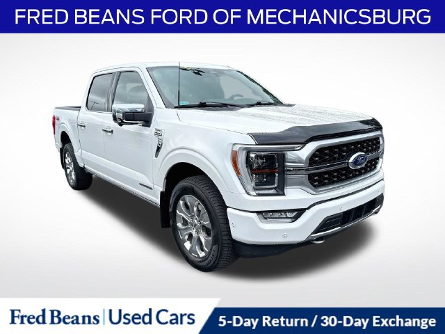 Certified 2023 Ford F150 Platinum w/ Equipment Group 701A High AWD/4WD image 1