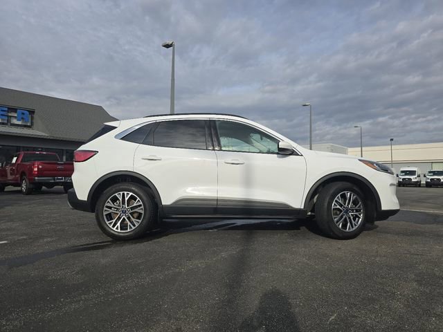 Certified 2022 Ford Escape SEL image 6